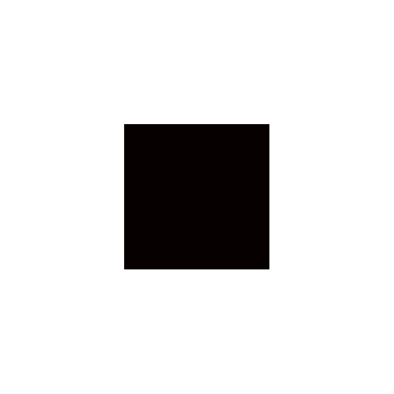 [PNV] negro Spray 400ml (28012)