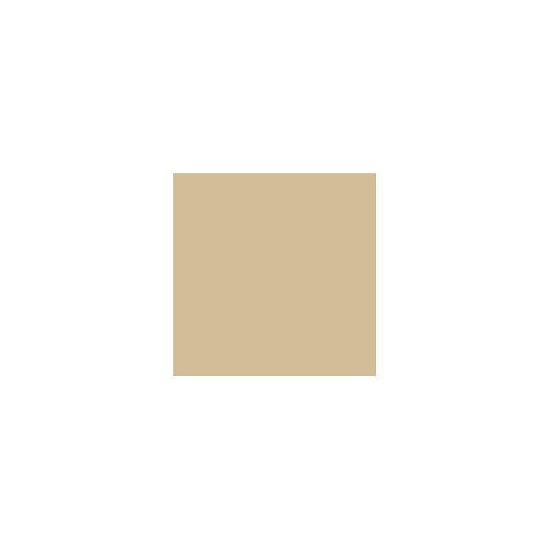 [PNV] Blanco hueso Spray 400ml (28013)